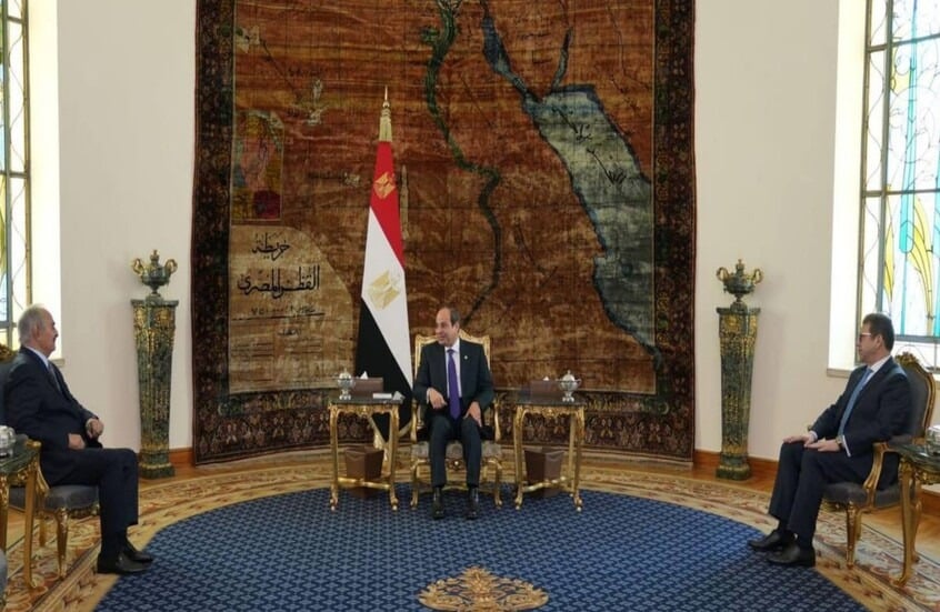 السيسي يستقبل حفتر ويؤكد دعم مصر لوحدة ليبيا