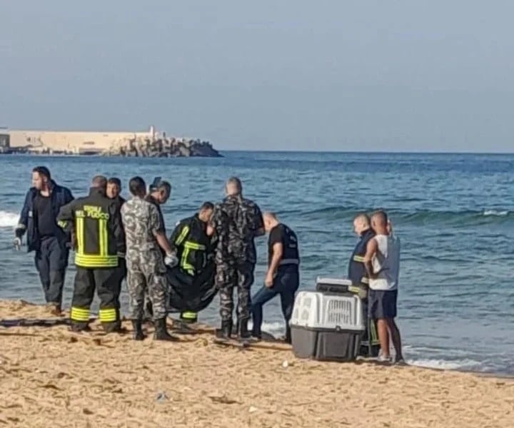 جثة رجل مجهول الهوية قبالة شاطئ البرغلية.. وقوى الأمن تعمّم أوصافه