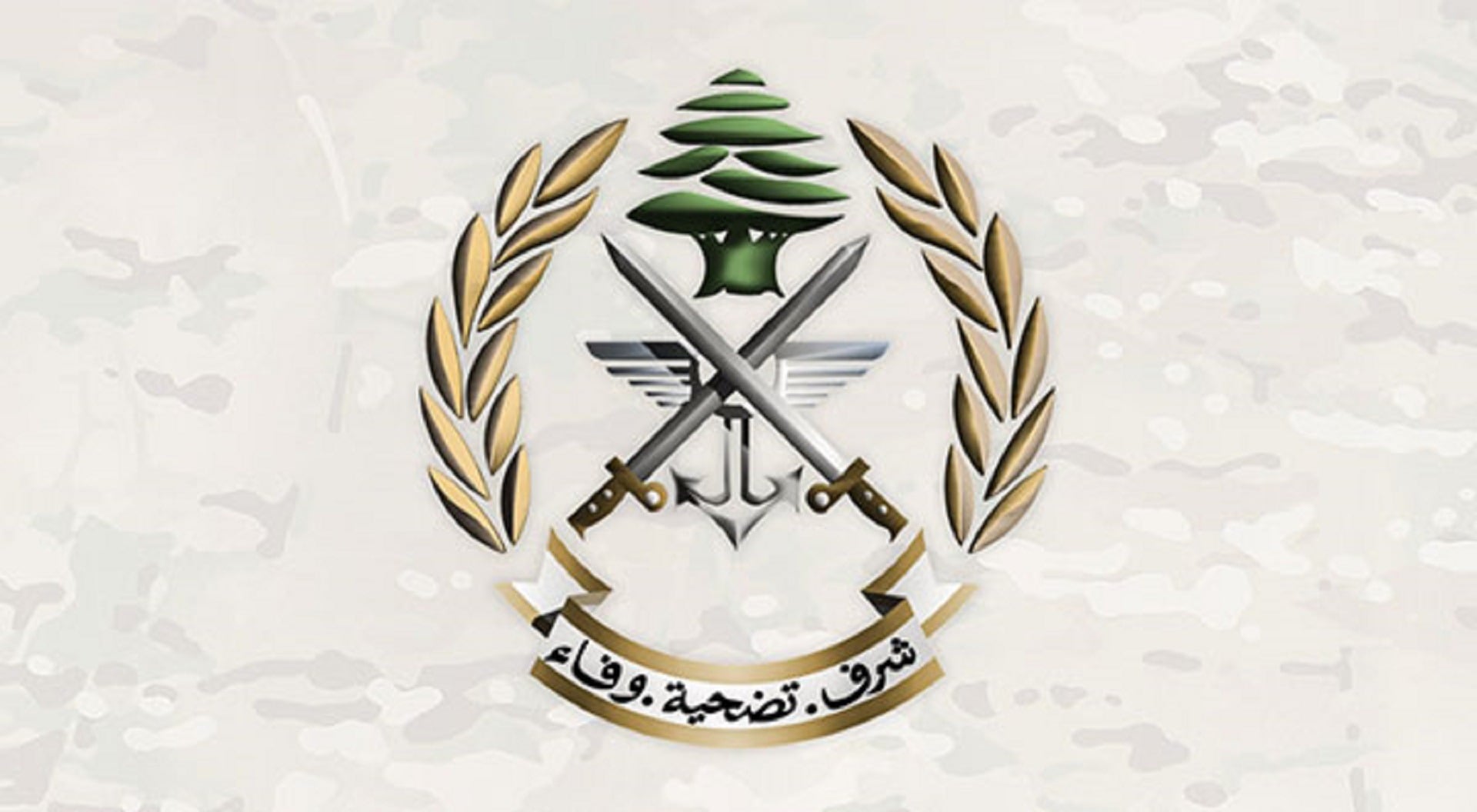 الجيش: تمارين تدريبية ورمايات بالذخيرة الحية في القاع