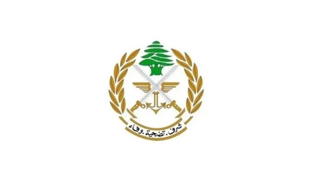 الجيش: تفجير ذخائر غير منفجرة من مخلفات العدوان في دير الزهراني