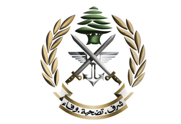 الجيش يطوّق إشكال برج أبي حيدر ويوقف اثنين من مطلقي النار