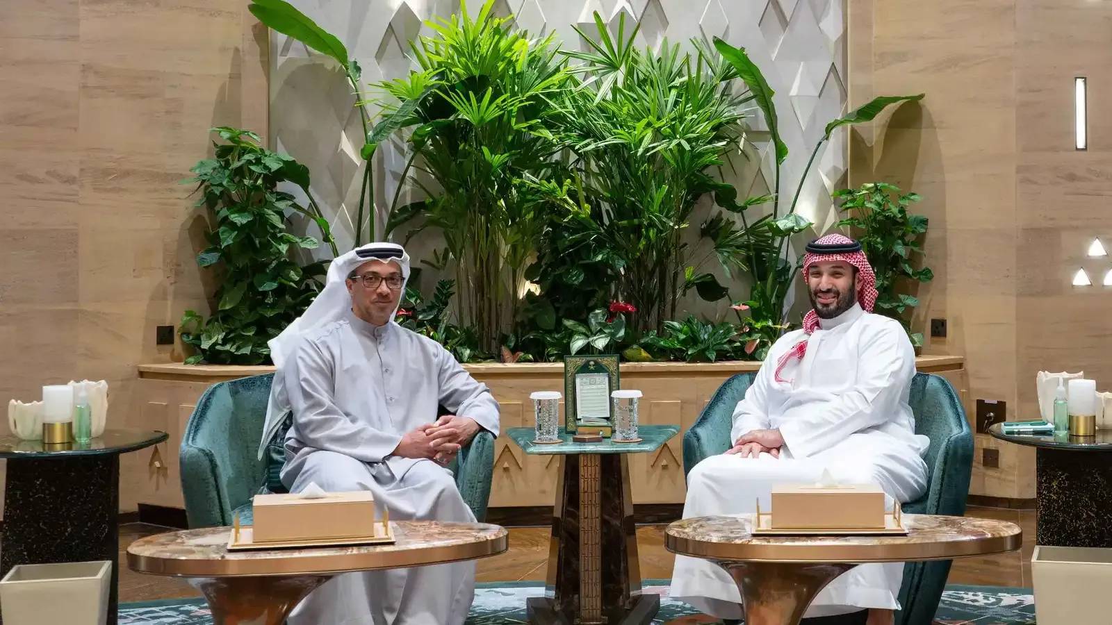 منصور بن زايد يلتقي محمد بن سلمان... بحث العلاقات الإماراتية السعودية والتطورات الإقليمية