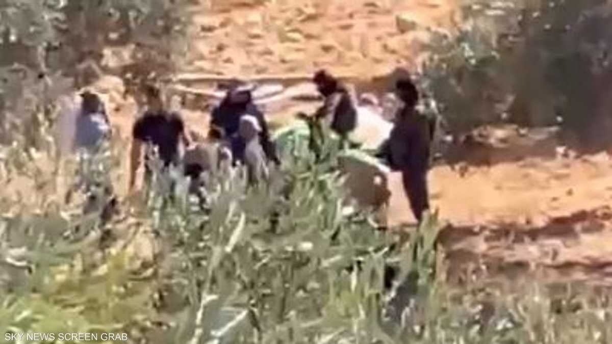 تصاعد اعتداءات المستوطنين على الفلسطينيين خلال موسم قطف الزيتون