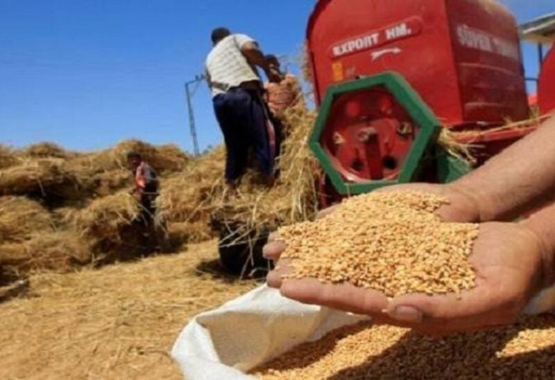 القمح في المصنع بانتظار الفحوص.. والشاحنات تغادر الاثنين