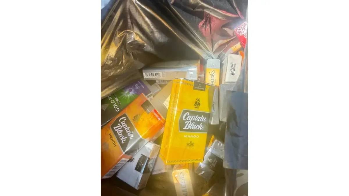 «الريجي» تضبط كميات من المصنوعات التبغية المهرّبة والمزوّرة في البقاع والشوف