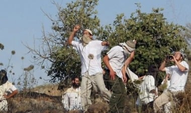 الهلال الأحمر الفلسطيني: إصابة فلسطيني إثر اعتداء مستوطنين عليه في بلدة عربونة قرب جنين شمال الضفة الغربية