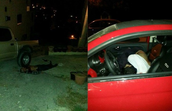 حقيقة الجريمة المروّعة التي حصلت في جبيل