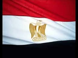 الرئاسة المصرية: سنعيد تقييم علاقاتنا مع تركيا بعد تصريحات أردوغان
