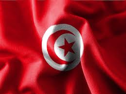 تونس تصادر 521 عقاراً استولت عليها عناصر من النظام السابق 