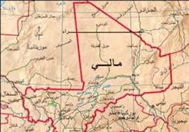 مالي تحتاج لإصلاحات انتخابية عاجلة