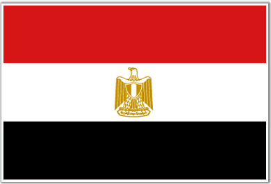 مصر: الـ50 تعيد فتح ملفات خلافية بعد أحداث الشورى