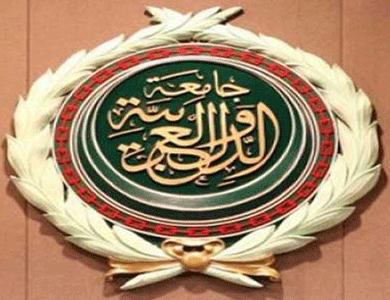 الجامعة العربية تشارك بمراقبة الاستفتاء على الدستور المصري