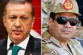
أردوغان يتقدم على السيسي في استطلاع "تايم" على شخصية هذا العام