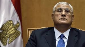 عدلي منصور: قانون التظاهر يقترب من نظيريه الفرنسي والسويسري ووضع لتطبيقه
