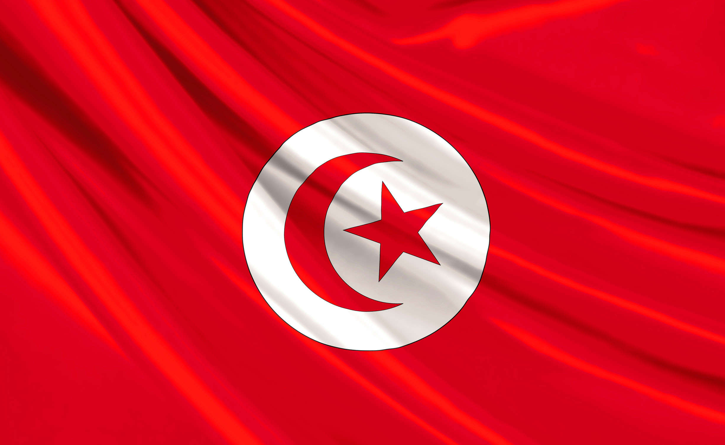 تونس: تلقينا تهديدات بتنفيذ عمليات إرهابية باحتفالات رأس السنة
