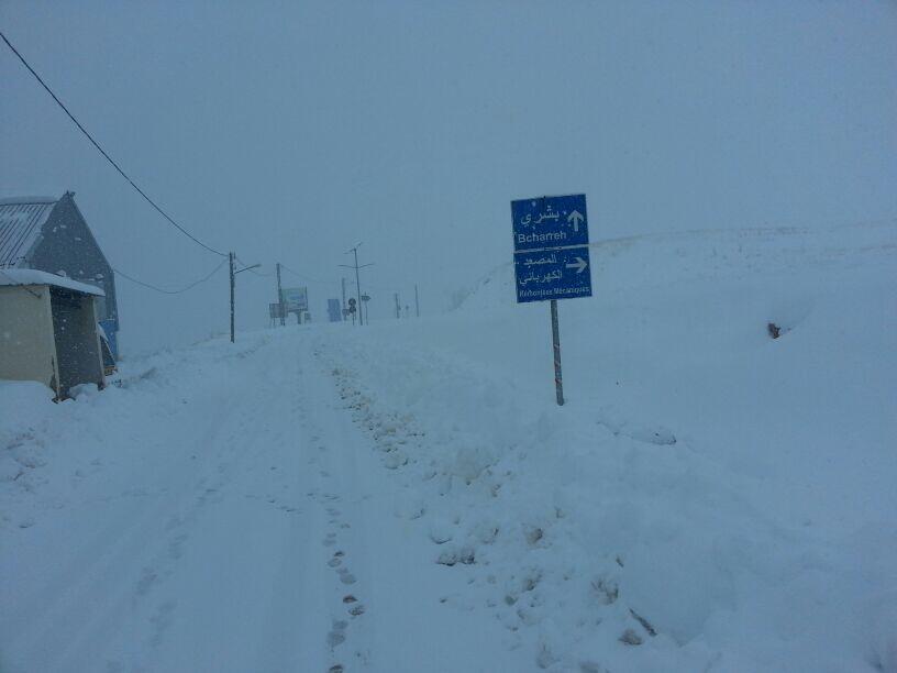 بالصورة- طريق الارز باتجاه بشري