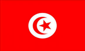إجراء إنتخابات الرئاسة والبرلمان في تونس قبل نهاية 2014