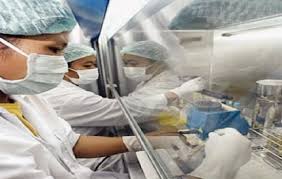 الصين تسجل أول وفاة بشرية جراء الإصابة بسلالة جديدة من إنفلونزا الطيور