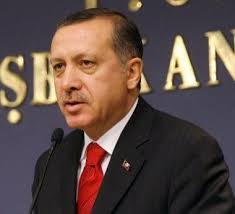 مستشار أردوغان: أصابع إسرائيل وألمانيا في حملة الاعتقالات التي تمت دون علم وزير الداخلية