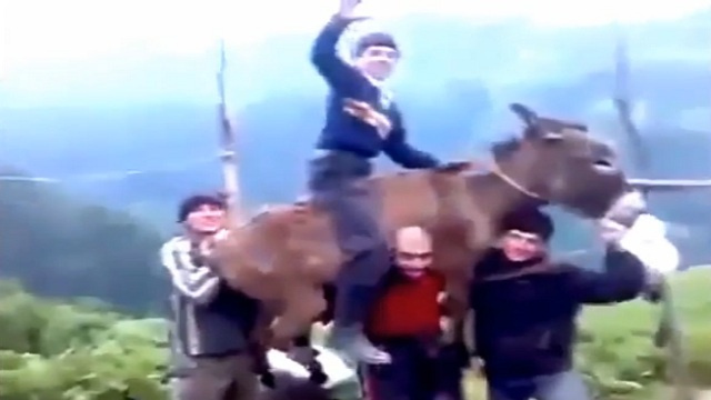 بالفيديو..شاب يحمل حماراً على ظهره!