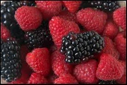 التوت لزيادةالخصوبة عند الرجال