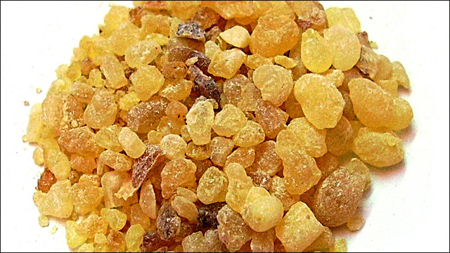 الراتنج العطري يساعد في علاج الأورام الخبيثة
