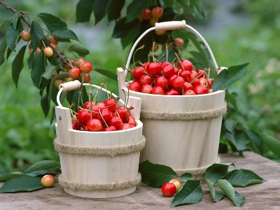 <br />
45 حبة كرز ...وداعاّ للطبيب<br />
