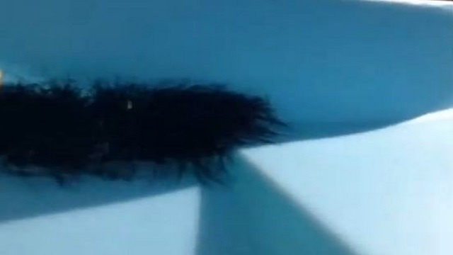 بالفيديو... أقصر فلم رعب في التاريخ