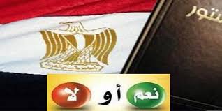 استفتاء المغتربين المصريين يخّط الطريق الى الدستور المصري الجديد