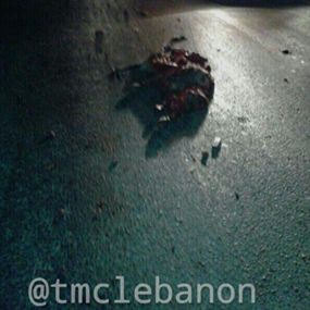  بالصور.. حمار يتسبب بكارثة على اتوستراد الصفرا 