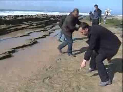 آثار أقدام دينوصورات في أكادير