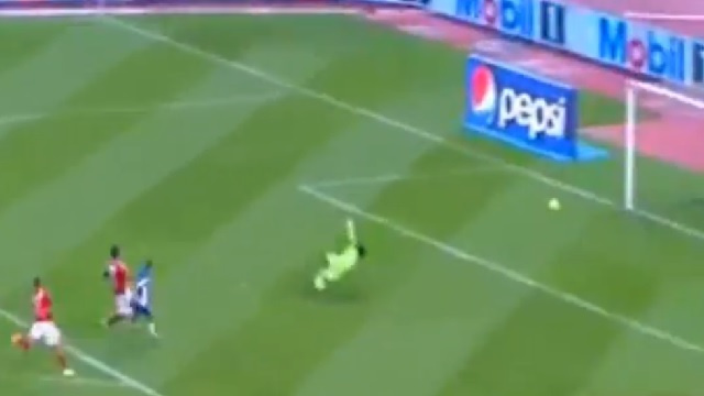 بالفيديو .. تمساح يلتهم الأهلي

