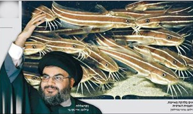 بالفيديو  سمكة باسم السيد نصرالله 