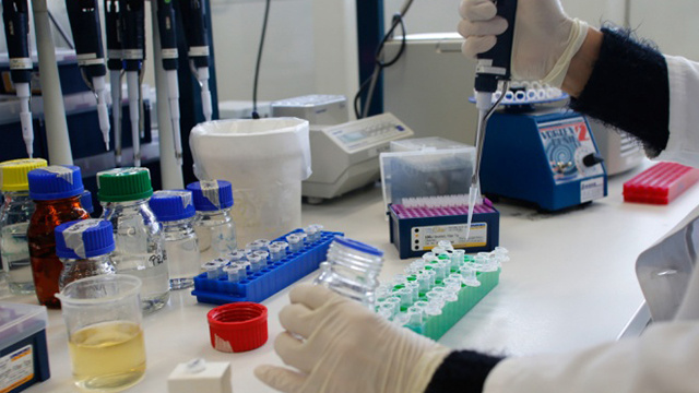 لقاح جديد ضد انفلونزا الطيور من نوع H7N9