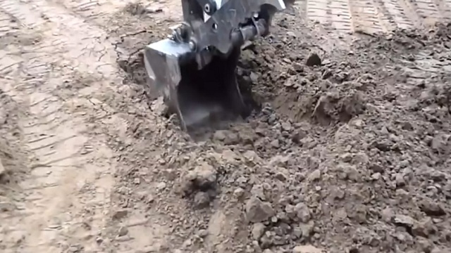  بالفيديو .. تربة مطاطية فريدة من نوعها

