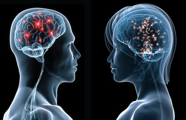 حجم الدماغ يختلف بين المرأة والرجل