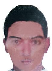  الصورة التي عممها الجيش يشتبه بأن تكون للانتحاري الثاني في تفجيري بئر حسن 