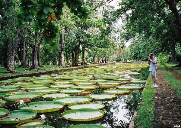 الجمهورية العذراء: أعجوبة سياحية يجهلها الكثيرون