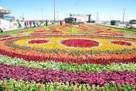سجادة زهور سعودية دخلت موسوعة غينيس