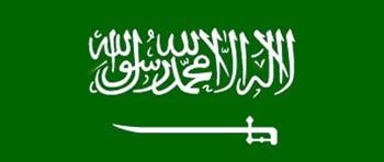 ضبط 14 شاباً وفتاة في 