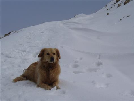 ثلوج الكنَيْسة لا تبدد هواجس المزارعين