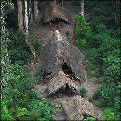 اكتشافات جديدة في غابة الأمازون