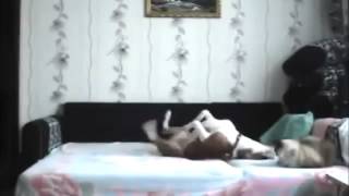بالفيديو-كاميرا تفضح أفعال الكلب بعد مغادرة أصحابه للمنزل!