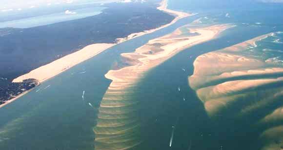 التصحر يهدد حوض آرغين في موريتانيا‎