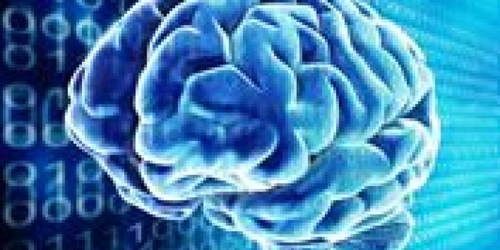 اللغة... إِذاً اللسان... إِذاً العقل