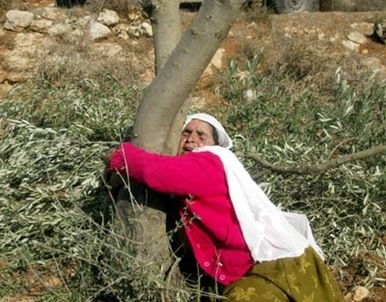 مشهد نضالي ذهني في 