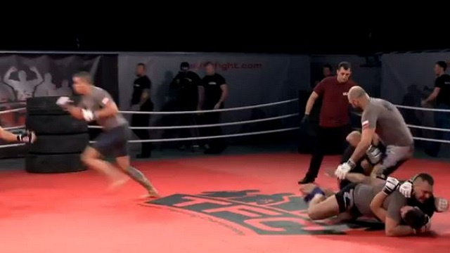 بالفيديو .. معركة طاحنة بين عشرة ملاكمين