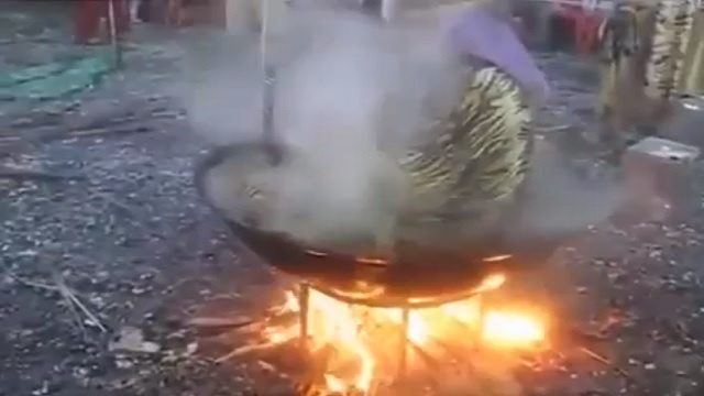 رجل في السبعين من عمره 