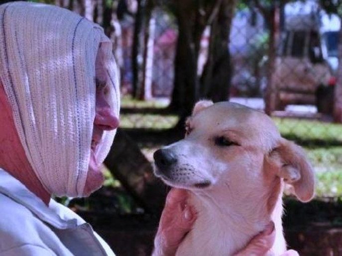  بالفيديو.. كلب انتظر صاحبه 8 أيام عند باب المستشفى 