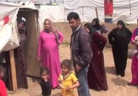 بالفيديو.. حذار من عضة الكلب في لبنان 
